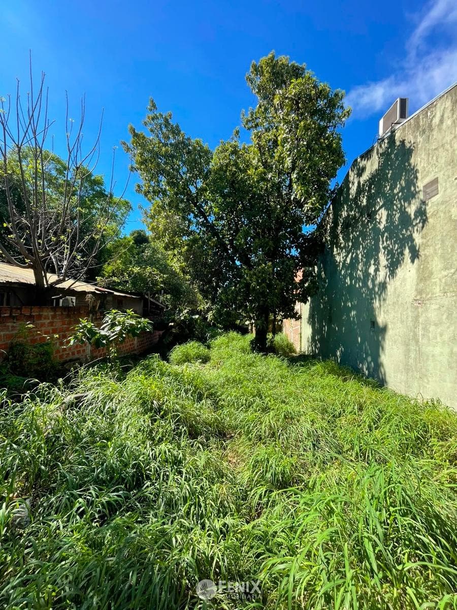 TF708 - TERRENO EN VENTA Z/ AV. URQUIZA