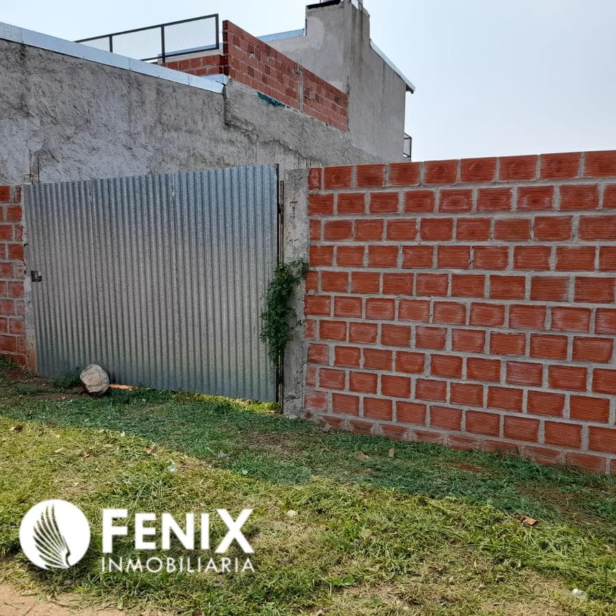 TF405 - z/ AGUADO Y ALTE. BROWN