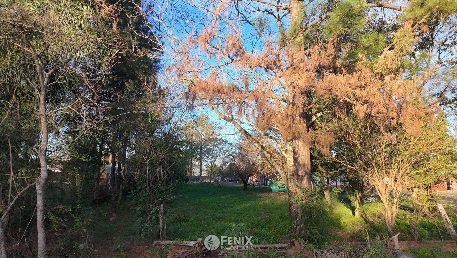 TF799 - AMPLIOS TERRENOS EN VENTA - GARUPÁ