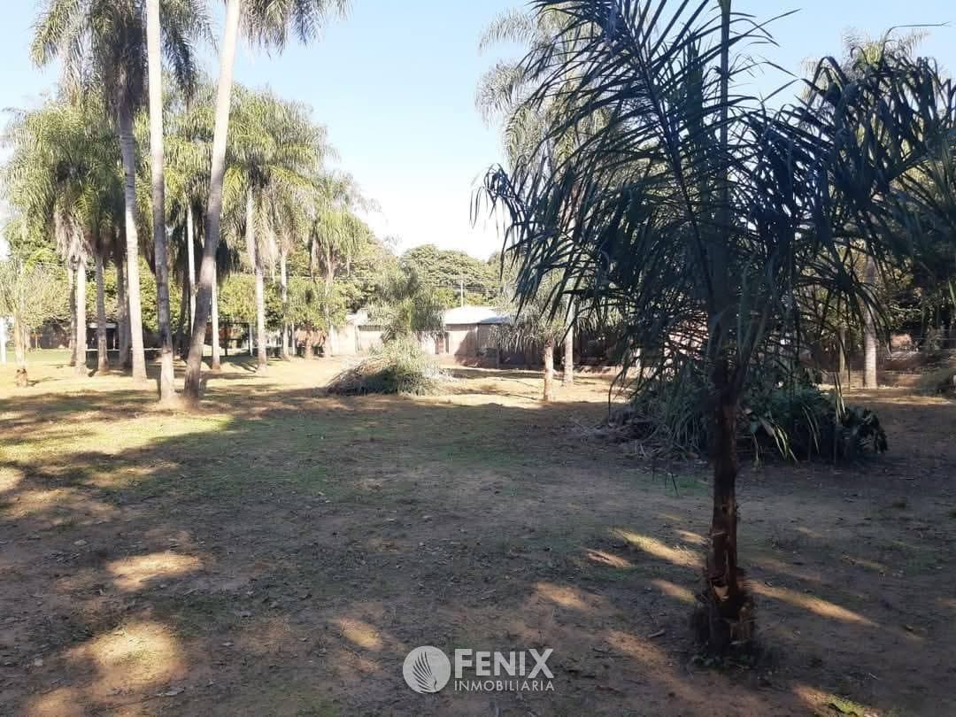 TF884 - 3 TERRENOS 15 x 45 A METROS DEL RÍO - ITUZAINGÓ, CTES.
